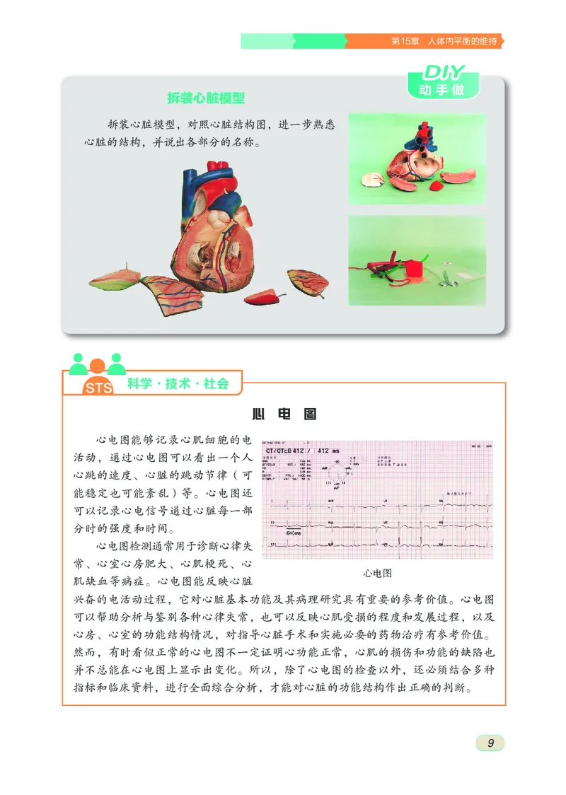 苏科版8年级生物上册高清教材_4-教培资料-26年最新资料-同步更新_初中高中教资_03科三专项（进去保存报考的学科即可）_02科三专项（笔记真题思维导图教学设计版本二）