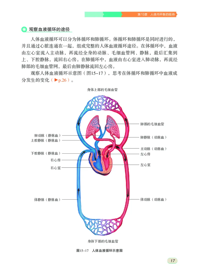 苏科版8年级生物上册高清教材_4-教培资料-26年最新资料-同步更新_初中高中教资_03科三专项（进去保存报考的学科即可）_02科三专项（笔记真题思维导图教学设计版本二）