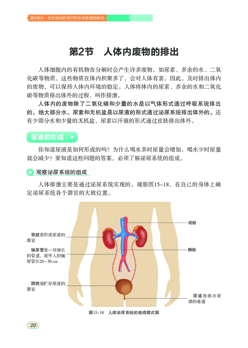 苏科版8年级生物上册高清教材_4-教培资料-26年最新资料-同步更新_初中高中教资_03科三专项（进去保存报考的学科即可）_02科三专项（笔记真题思维导图教学设计版本二）