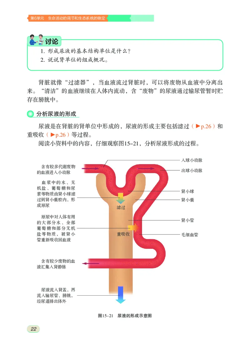 苏科版8年级生物上册高清教材_4-教培资料-26年最新资料-同步更新_初中高中教资_03科三专项（进去保存报考的学科即可）_02科三专项（笔记真题思维导图教学设计版本二）