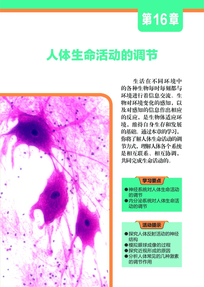 苏科版8年级生物上册高清教材_4-教培资料-26年最新资料-同步更新_初中高中教资_03科三专项（进去保存报考的学科即可）_02科三专项（笔记真题思维导图教学设计版本二）