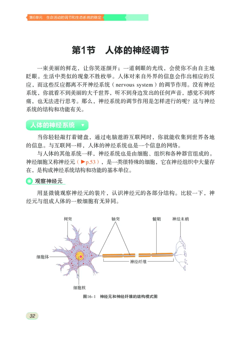苏科版8年级生物上册高清教材_4-教培资料-26年最新资料-同步更新_初中高中教资_03科三专项（进去保存报考的学科即可）_02科三专项（笔记真题思维导图教学设计版本二）
