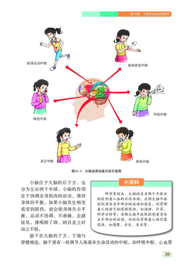 苏科版8年级生物上册高清教材_4-教培资料-26年最新资料-同步更新_初中高中教资_03科三专项（进去保存报考的学科即可）_02科三专项（笔记真题思维导图教学设计版本二）