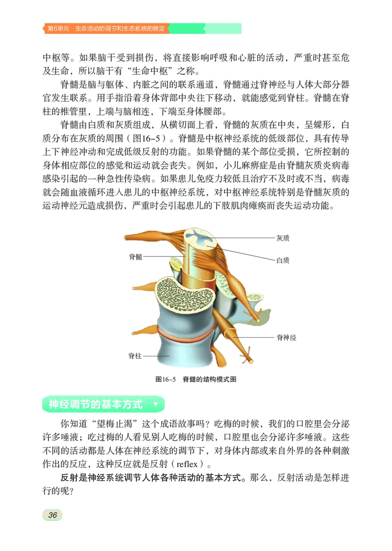 苏科版8年级生物上册高清教材_4-教培资料-26年最新资料-同步更新_初中高中教资_03科三专项（进去保存报考的学科即可）_02科三专项（笔记真题思维导图教学设计版本二）