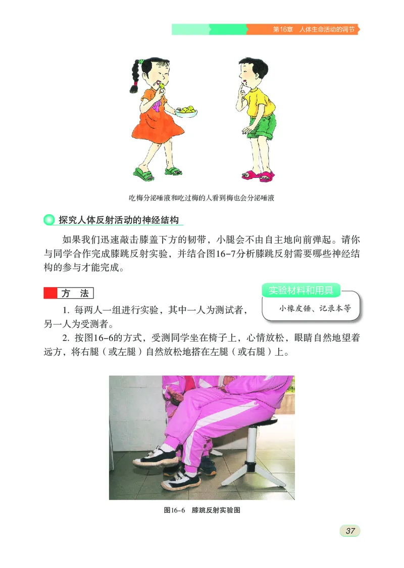 苏科版8年级生物上册高清教材_4-教培资料-26年最新资料-同步更新_初中高中教资_03科三专项（进去保存报考的学科即可）_02科三专项（笔记真题思维导图教学设计版本二）