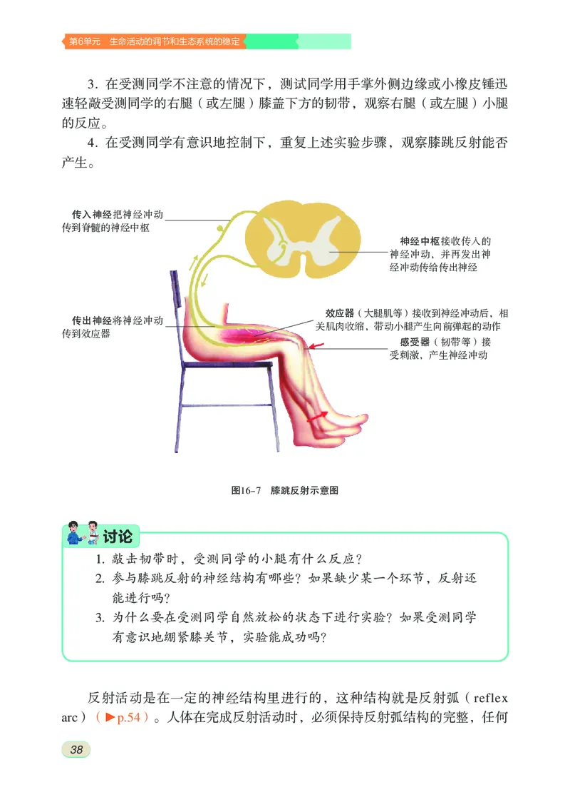 苏科版8年级生物上册高清教材_4-教培资料-26年最新资料-同步更新_初中高中教资_03科三专项（进去保存报考的学科即可）_02科三专项（笔记真题思维导图教学设计版本二）