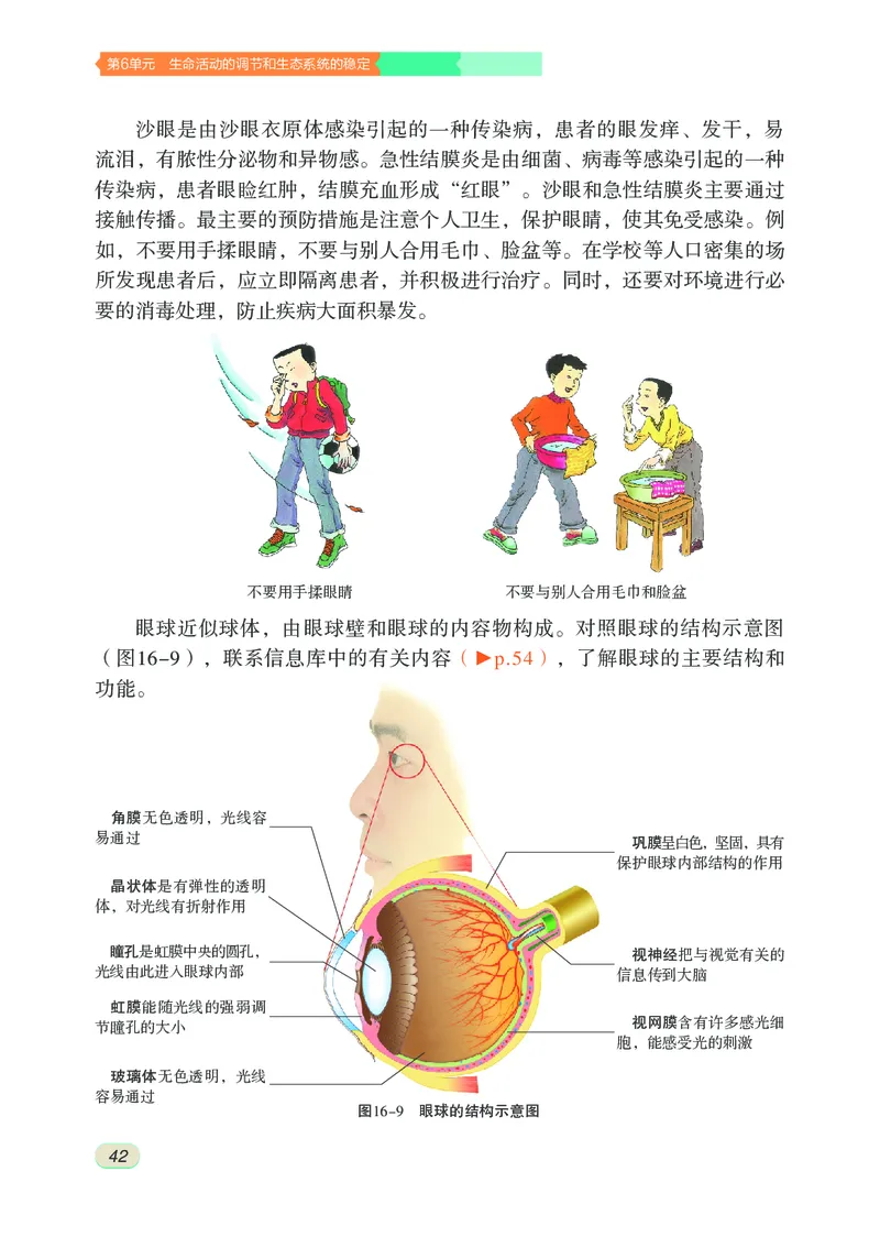 苏科版8年级生物上册高清教材_4-教培资料-26年最新资料-同步更新_初中高中教资_03科三专项（进去保存报考的学科即可）_02科三专项（笔记真题思维导图教学设计版本二）