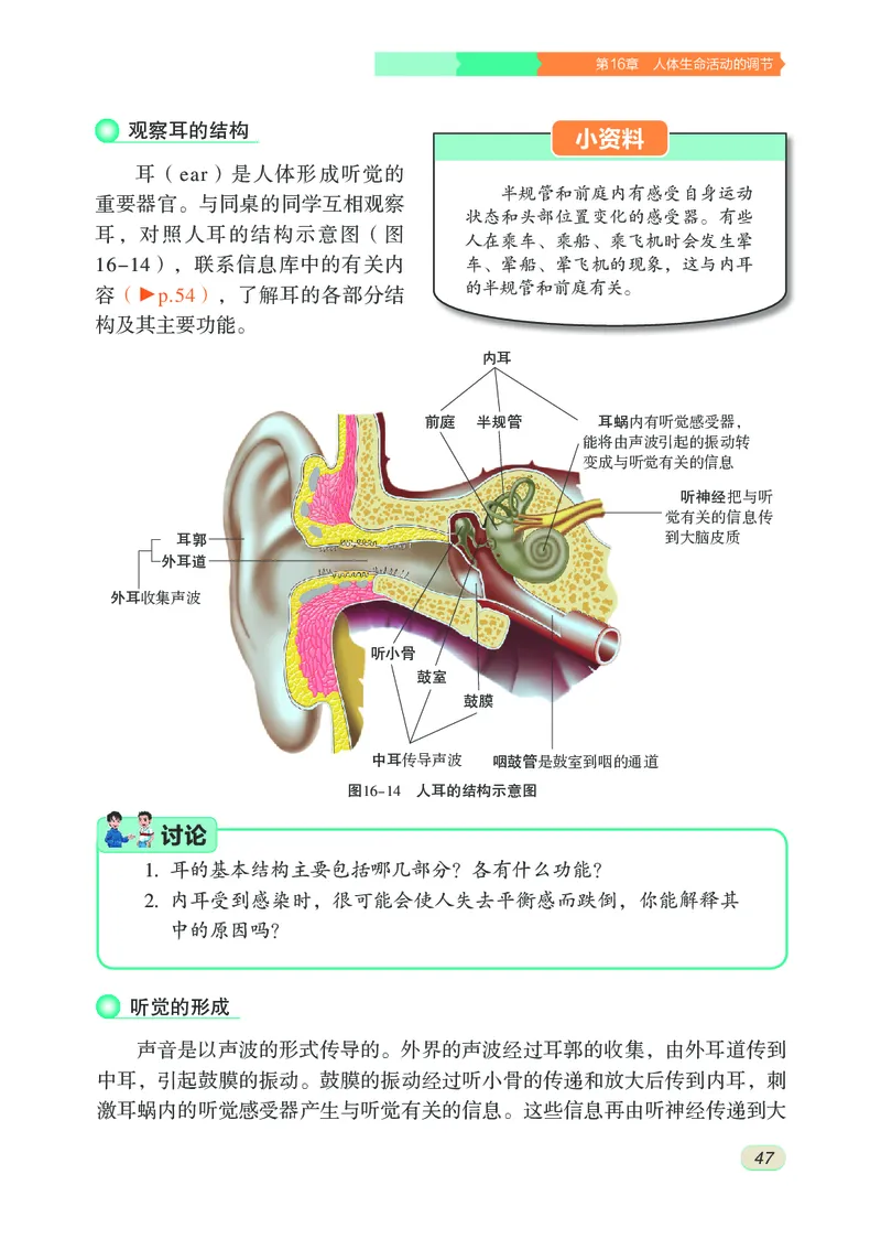 苏科版8年级生物上册高清教材_4-教培资料-26年最新资料-同步更新_初中高中教资_03科三专项（进去保存报考的学科即可）_02科三专项（笔记真题思维导图教学设计版本二）