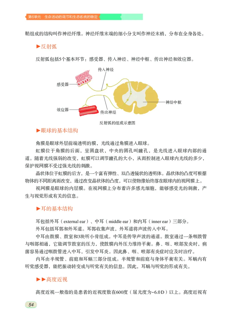 苏科版8年级生物上册高清教材_4-教培资料-26年最新资料-同步更新_初中高中教资_03科三专项（进去保存报考的学科即可）_02科三专项（笔记真题思维导图教学设计版本二）