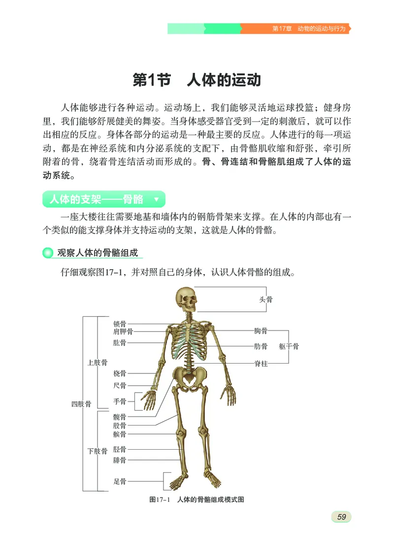 苏科版8年级生物上册高清教材_4-教培资料-26年最新资料-同步更新_初中高中教资_03科三专项（进去保存报考的学科即可）_02科三专项（笔记真题思维导图教学设计版本二）