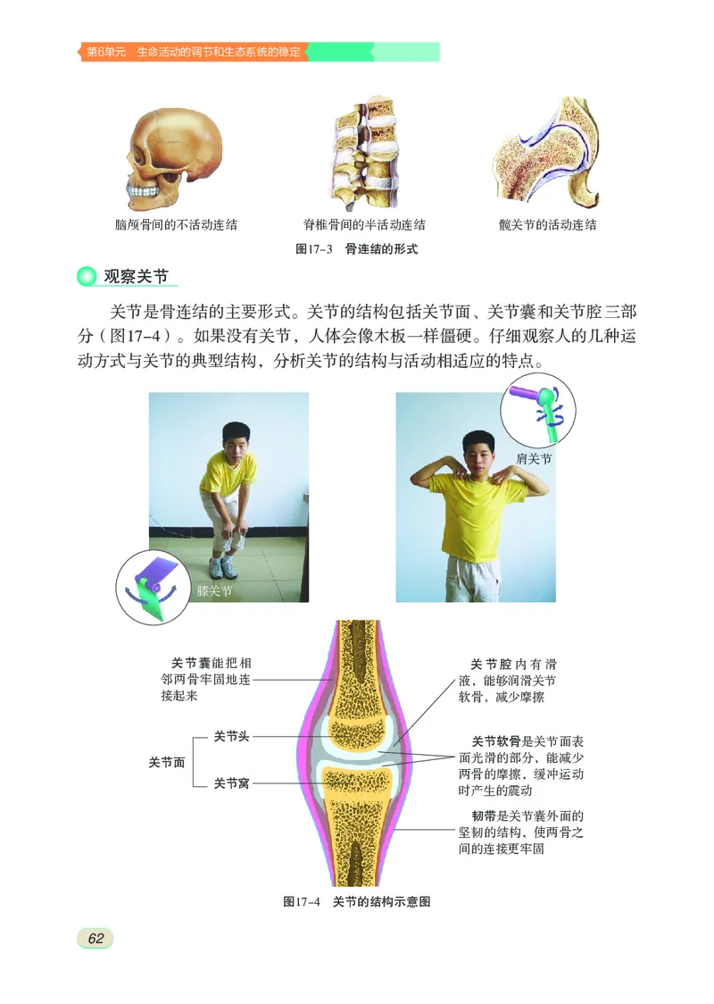 苏科版8年级生物上册高清教材_4-教培资料-26年最新资料-同步更新_初中高中教资_03科三专项（进去保存报考的学科即可）_02科三专项（笔记真题思维导图教学设计版本二）