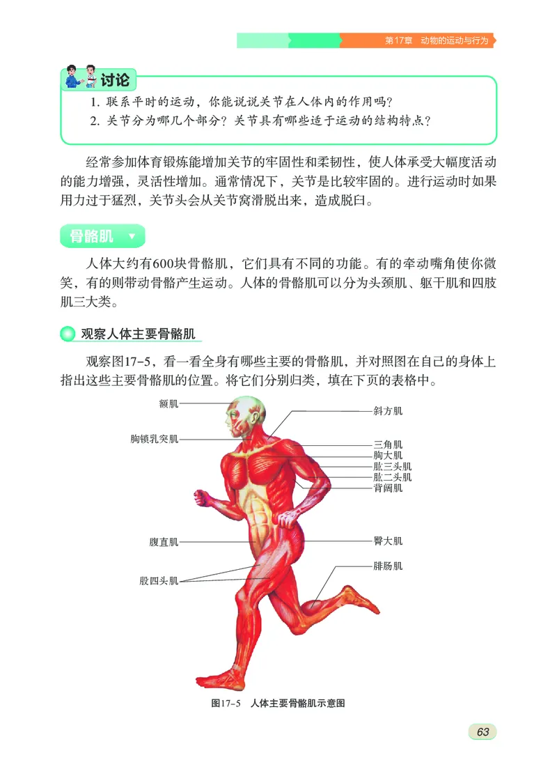 苏科版8年级生物上册高清教材_4-教培资料-26年最新资料-同步更新_初中高中教资_03科三专项（进去保存报考的学科即可）_02科三专项（笔记真题思维导图教学设计版本二）
