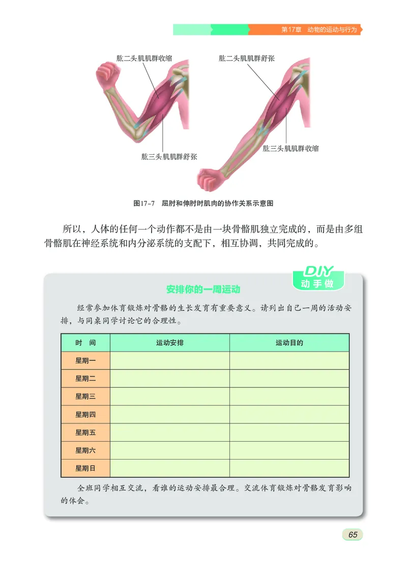 苏科版8年级生物上册高清教材_4-教培资料-26年最新资料-同步更新_初中高中教资_03科三专项（进去保存报考的学科即可）_02科三专项（笔记真题思维导图教学设计版本二）