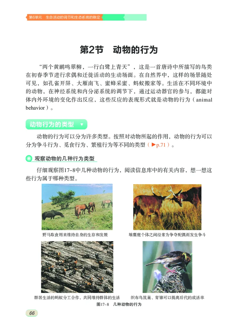 苏科版8年级生物上册高清教材_4-教培资料-26年最新资料-同步更新_初中高中教资_03科三专项（进去保存报考的学科即可）_02科三专项（笔记真题思维导图教学设计版本二）