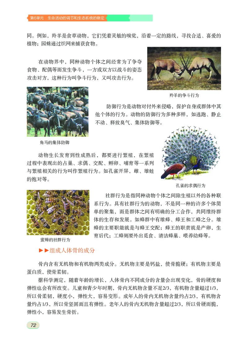 苏科版8年级生物上册高清教材_4-教培资料-26年最新资料-同步更新_初中高中教资_03科三专项（进去保存报考的学科即可）_02科三专项（笔记真题思维导图教学设计版本二）