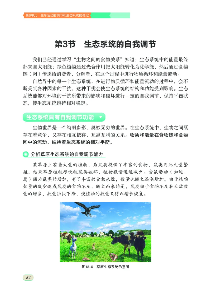 苏科版8年级生物上册高清教材_4-教培资料-26年最新资料-同步更新_初中高中教资_03科三专项（进去保存报考的学科即可）_02科三专项（笔记真题思维导图教学设计版本二）