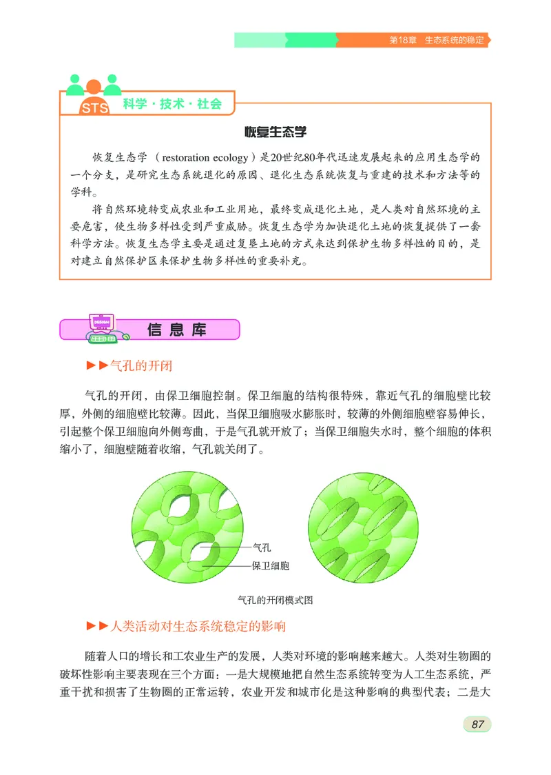 苏科版8年级生物上册高清教材_4-教培资料-26年最新资料-同步更新_初中高中教资_03科三专项（进去保存报考的学科即可）_02科三专项（笔记真题思维导图教学设计版本二）
