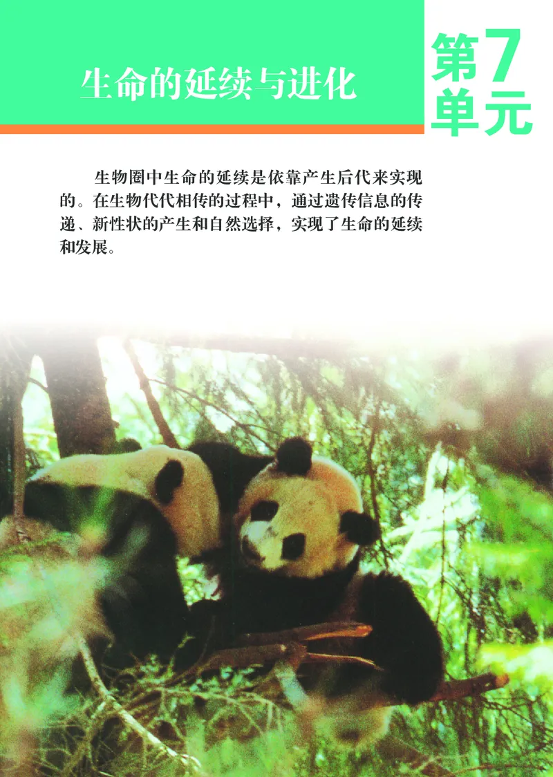 苏科版8年级生物上册高清教材_4-教培资料-26年最新资料-同步更新_初中高中教资_03科三专项（进去保存报考的学科即可）_02科三专项（笔记真题思维导图教学设计版本二）