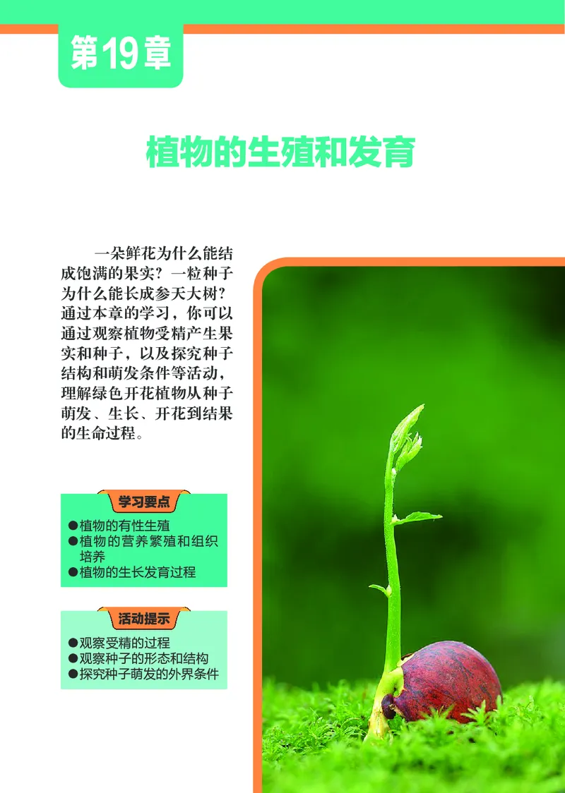 苏科版8年级生物上册高清教材_4-教培资料-26年最新资料-同步更新_初中高中教资_03科三专项（进去保存报考的学科即可）_02科三专项（笔记真题思维导图教学设计版本二）