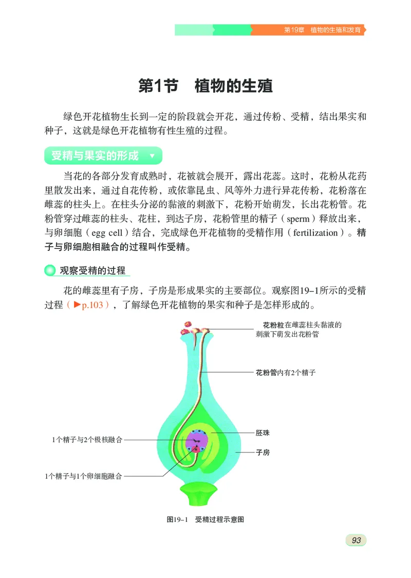 苏科版8年级生物上册高清教材_4-教培资料-26年最新资料-同步更新_初中高中教资_03科三专项（进去保存报考的学科即可）_02科三专项（笔记真题思维导图教学设计版本二）