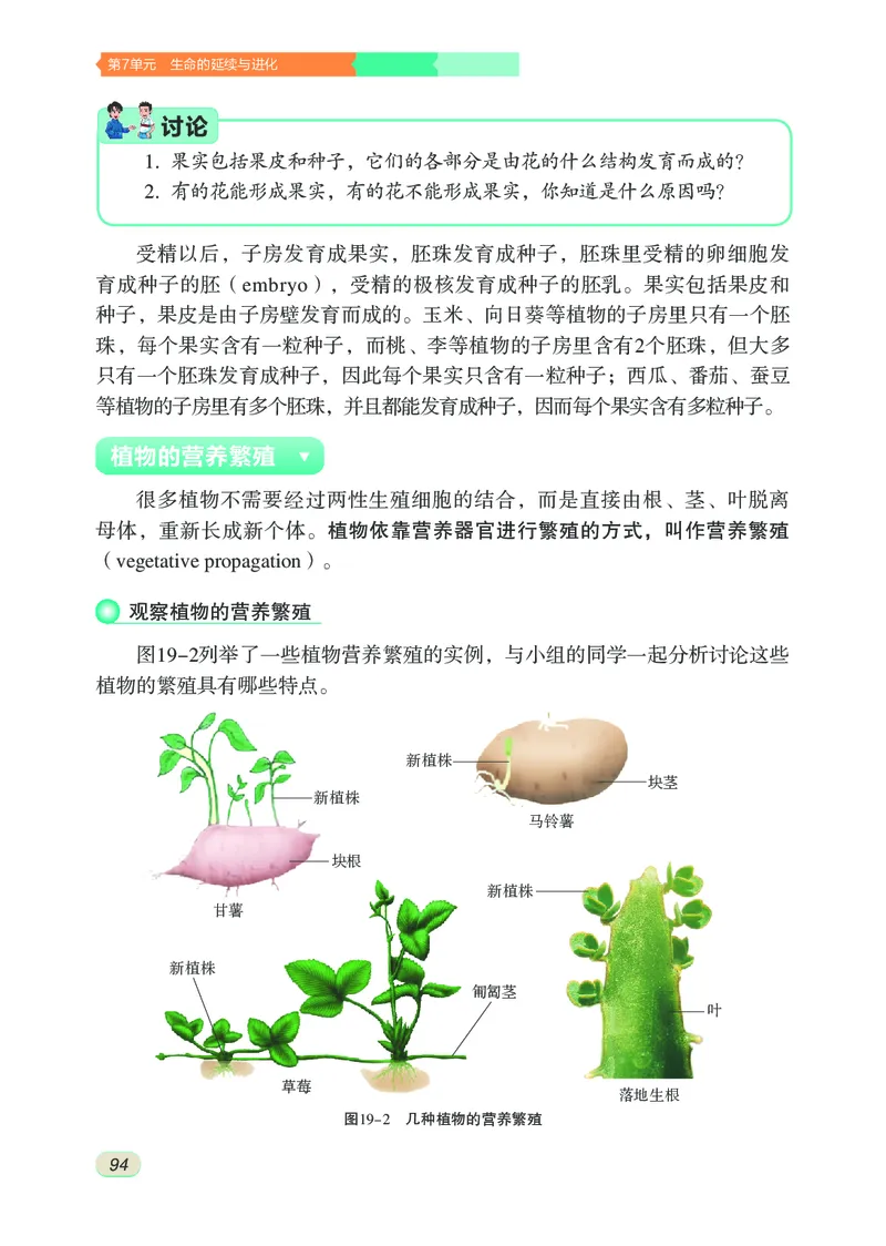 苏科版8年级生物上册高清教材_4-教培资料-26年最新资料-同步更新_初中高中教资_03科三专项（进去保存报考的学科即可）_02科三专项（笔记真题思维导图教学设计版本二）