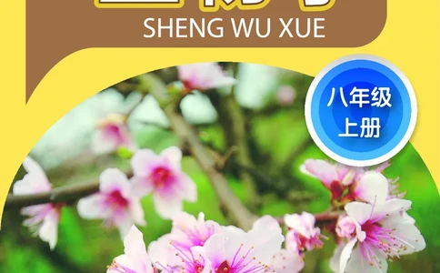苏科版8年级生物上册高清教材_4-教培资料-26年最新资料-同步更新_初中高中教资_03科三专项（进去保存报考的学科即可）_02科三专项（笔记真题思维导图教学设计版本二）