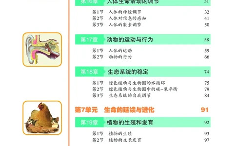 苏科版8年级生物上册高清教材_4-教培资料-26年最新资料-同步更新_初中高中教资_03科三专项（进去保存报考的学科即可）_02科三专项（笔记真题思维导图教学设计版本二）