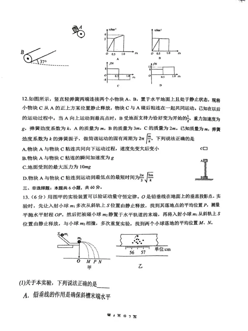 物理_2025年12月_251201山东省济南市山东师范大学附属中学2025-2026学年高三上学期11月期中（全科）