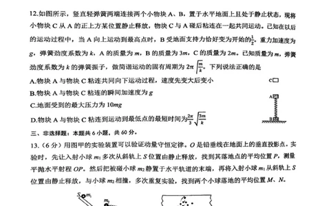 物理_2025年12月_251201山东省济南市山东师范大学附属中学2025-2026学年高三上学期11月期中（全科）