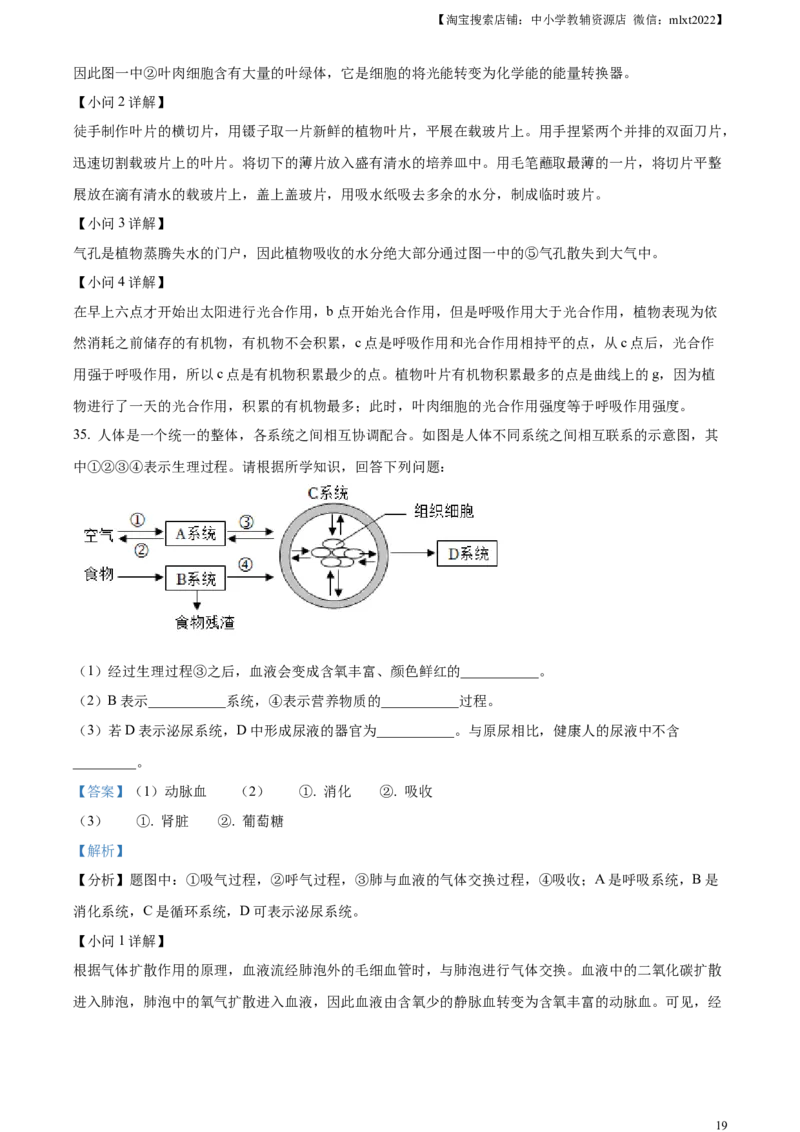 精品解析：2023年湖南省怀化市中考生物真题（解析版）(1)_中考真题_8.生物中考真题2015-2024年_2023年全国中考生物7.20_精品解析：2023年湖南省怀化市中考生物真题
