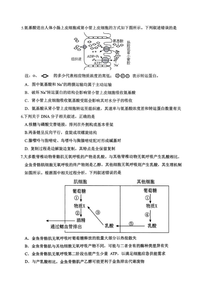高2026届高三第一学期期中考试生物_251109重庆九龙坡高2026届高三第一学期期中考试（全科）