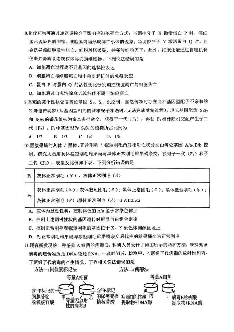 高2026届高三第一学期期中考试生物_251109重庆九龙坡高2026届高三第一学期期中考试（全科）
