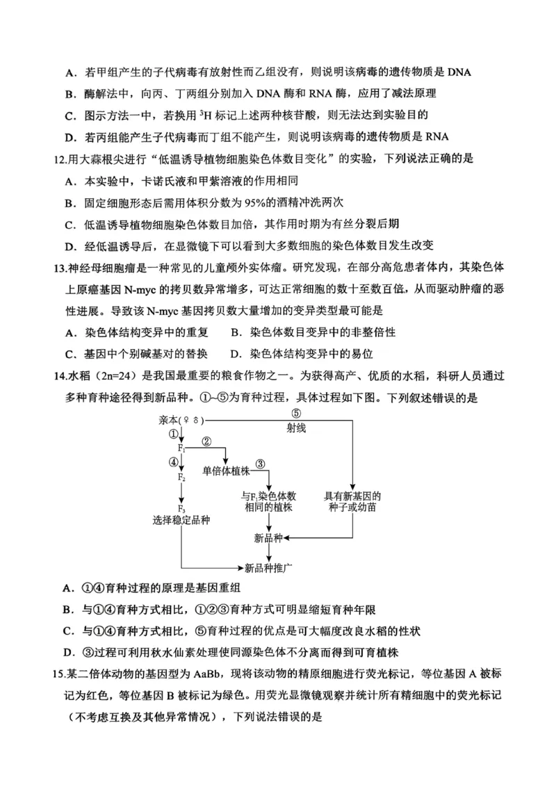 高2026届高三第一学期期中考试生物_251109重庆九龙坡高2026届高三第一学期期中考试（全科）