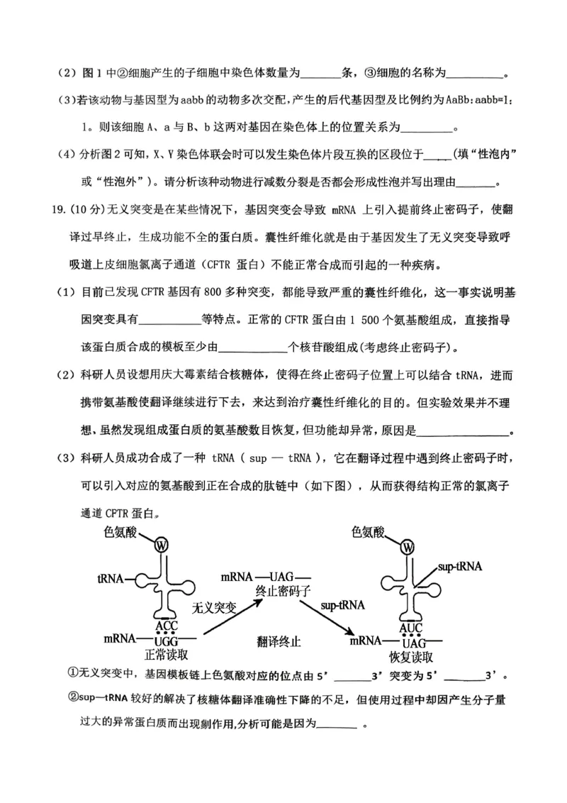 高2026届高三第一学期期中考试生物_251109重庆九龙坡高2026届高三第一学期期中考试（全科）