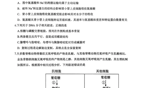 高2026届高三第一学期期中考试生物_251109重庆九龙坡高2026届高三第一学期期中考试（全科）