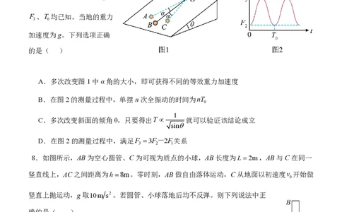 辽宁省沈阳市东北育才学校2024-2025学年高二下学期第二次月考试题物理PDF版含答案_2025年7月_250708辽宁省沈阳市东北育才学校2024-2025学年高二下学期第二次月考