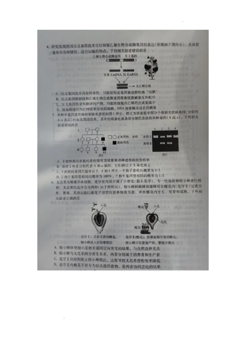 河北省2023-2024学年高三上学期质量监测联考生物试题_2024届琢名小渔河北省高三年级质量监测考试_琢名小渔河北省2024届高三年级质量监测考试生物