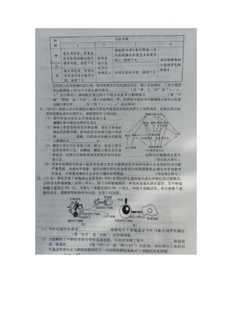 河北省2023-2024学年高三上学期质量监测联考生物试题_2024届琢名小渔河北省高三年级质量监测考试_琢名小渔河北省2024届高三年级质量监测考试生物