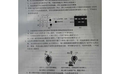 河北省2023-2024学年高三上学期质量监测联考生物试题_2024届琢名小渔河北省高三年级质量监测考试_琢名小渔河北省2024届高三年级质量监测考试生物