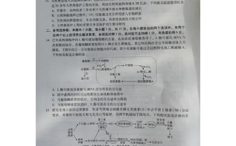 河北省2023-2024学年高三上学期质量监测联考生物试题_2024届琢名小渔河北省高三年级质量监测考试_琢名小渔河北省2024届高三年级质量监测考试生物