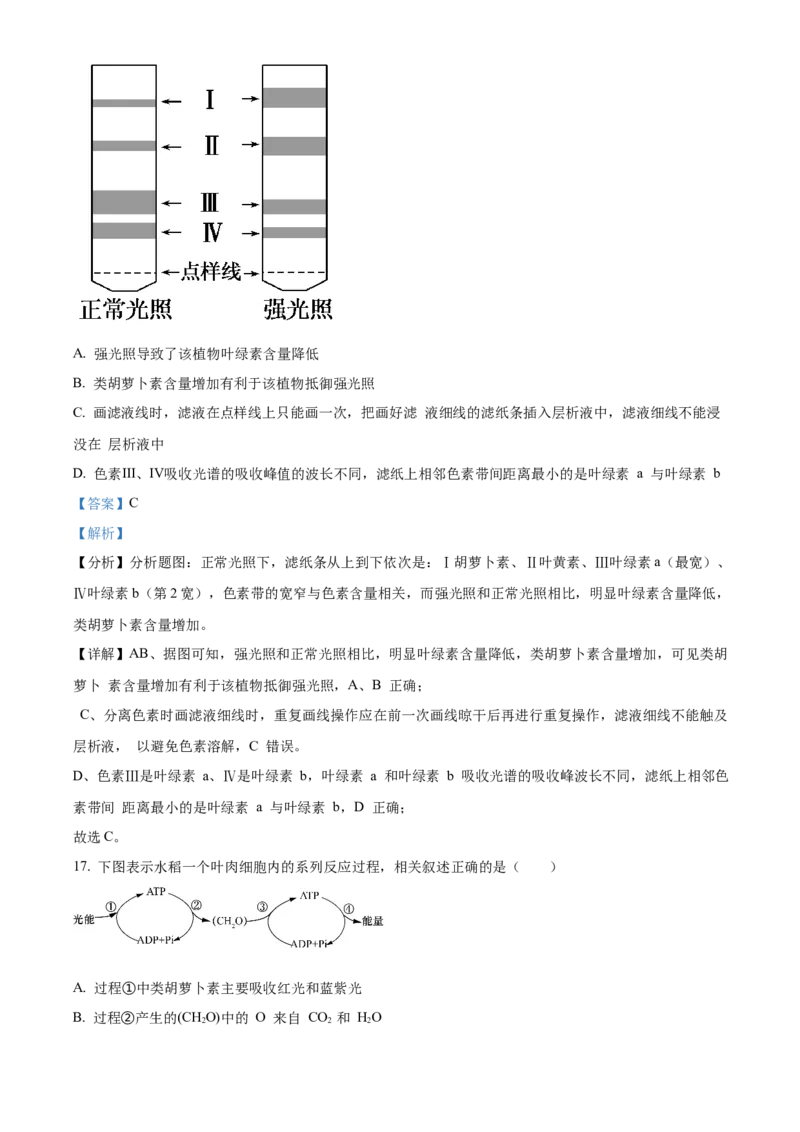河南省濮阳市第一高级中学2024届高三上学期第三次质量检测生物_2024届河南省濮阳市第一高级中学高三上学期第三次质量检测