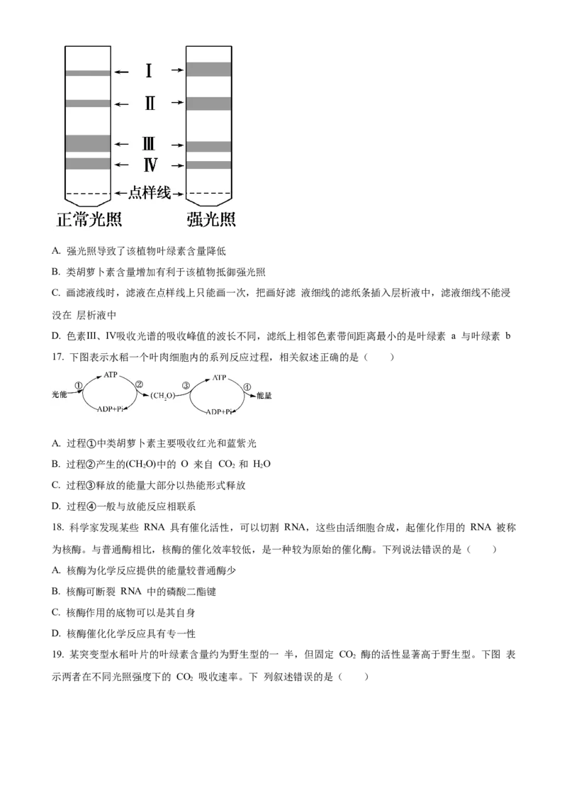 河南省濮阳市第一高级中学2024届高三上学期第三次质量检测生物_2024届河南省濮阳市第一高级中学高三上学期第三次质量检测