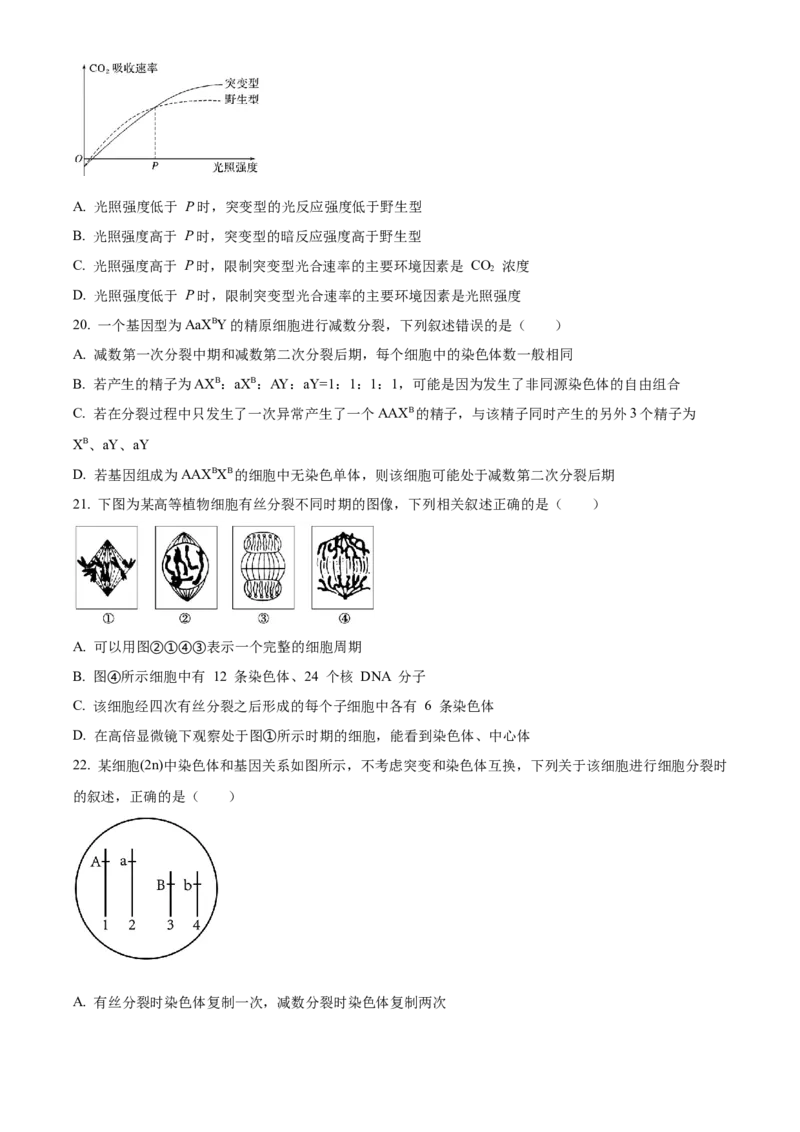 河南省濮阳市第一高级中学2024届高三上学期第三次质量检测生物_2024届河南省濮阳市第一高级中学高三上学期第三次质量检测