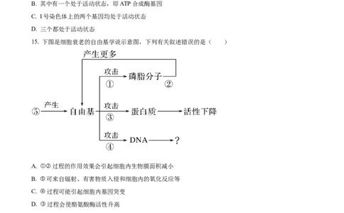 河南省濮阳市第一高级中学2024届高三上学期第三次质量检测生物_2024届河南省濮阳市第一高级中学高三上学期第三次质量检测
