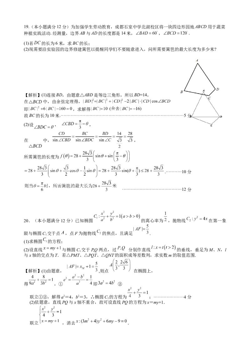 成都石室中学高2024届高三上期末考试数学试卷理-参考答案_2024届四川省成都市石室中学高三上学期期末考试_四川省成都市石室中学2024届高三上学期期末考试理科数学