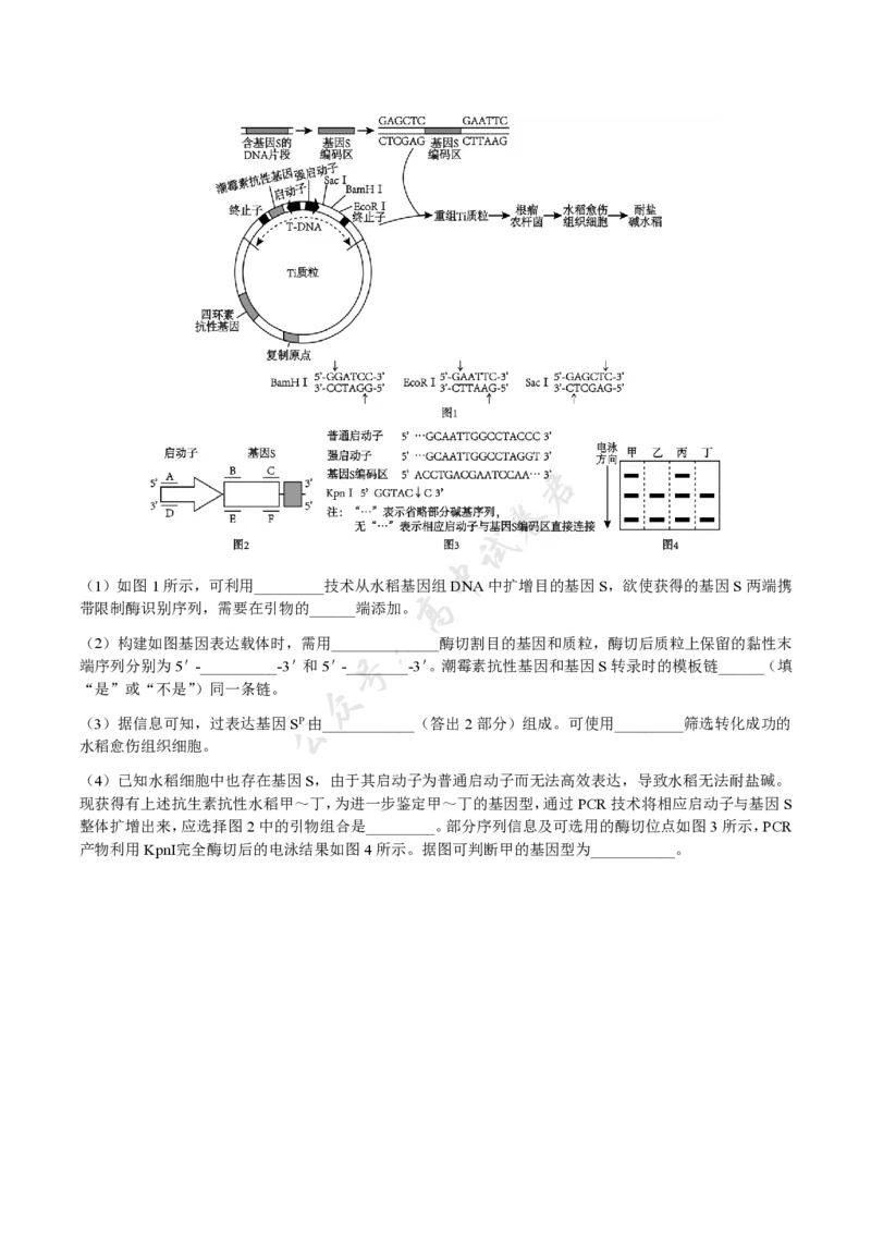 福建省福州市福九联盟2024-2025学年高二下学期期末联考生物试卷（含答案）_2025年7月_250730福建省福州市福九联盟2024-2025学年高二下学期7月期末考试