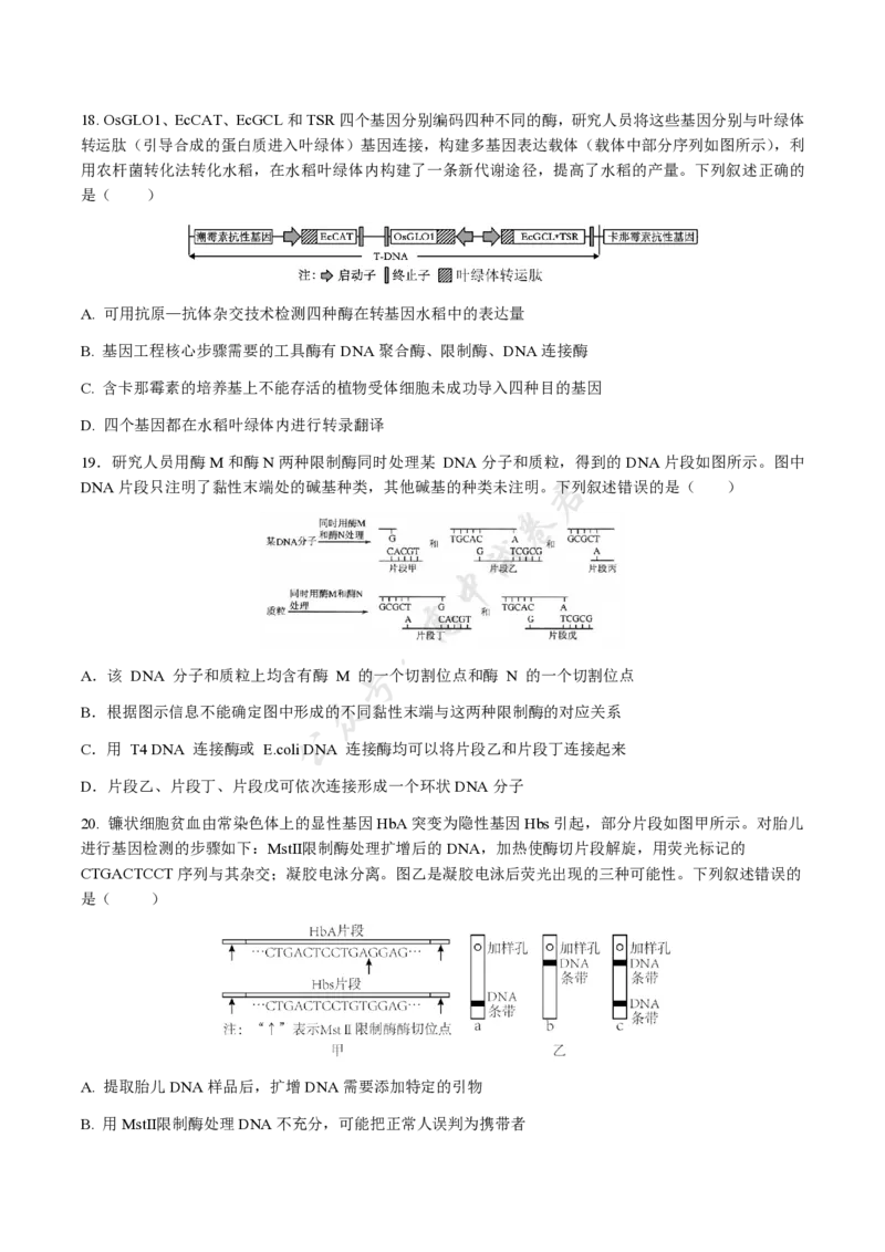 福建省福州市福九联盟2024-2025学年高二下学期期末联考生物试卷（含答案）_2025年7月_250730福建省福州市福九联盟2024-2025学年高二下学期7月期末考试