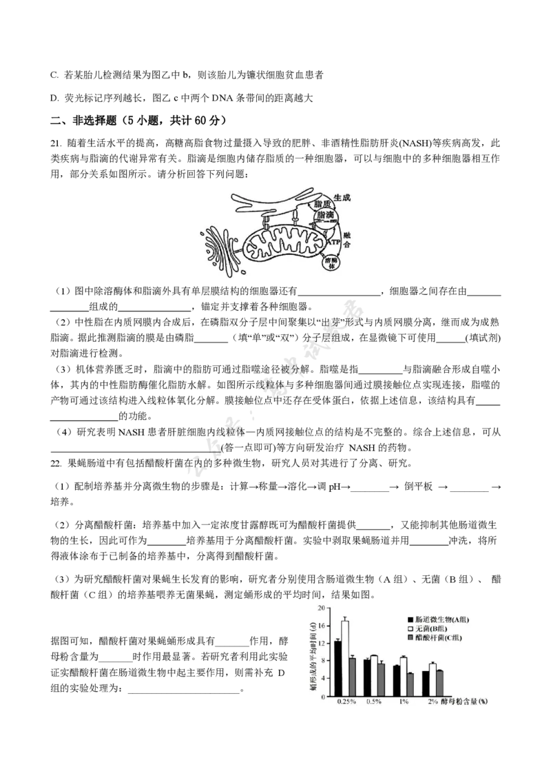 福建省福州市福九联盟2024-2025学年高二下学期期末联考生物试卷（含答案）_2025年7月_250730福建省福州市福九联盟2024-2025学年高二下学期7月期末考试