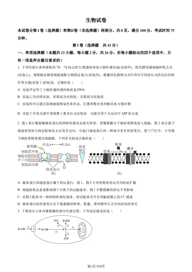 精品解析：河北省部分高中2023-2024学年高三12月期末生物试题（原卷版）_2024年1月_01每日更新_4号_2024届衡中同卷高三12月期末考_衡中同卷2024届高三12月期末考试生物