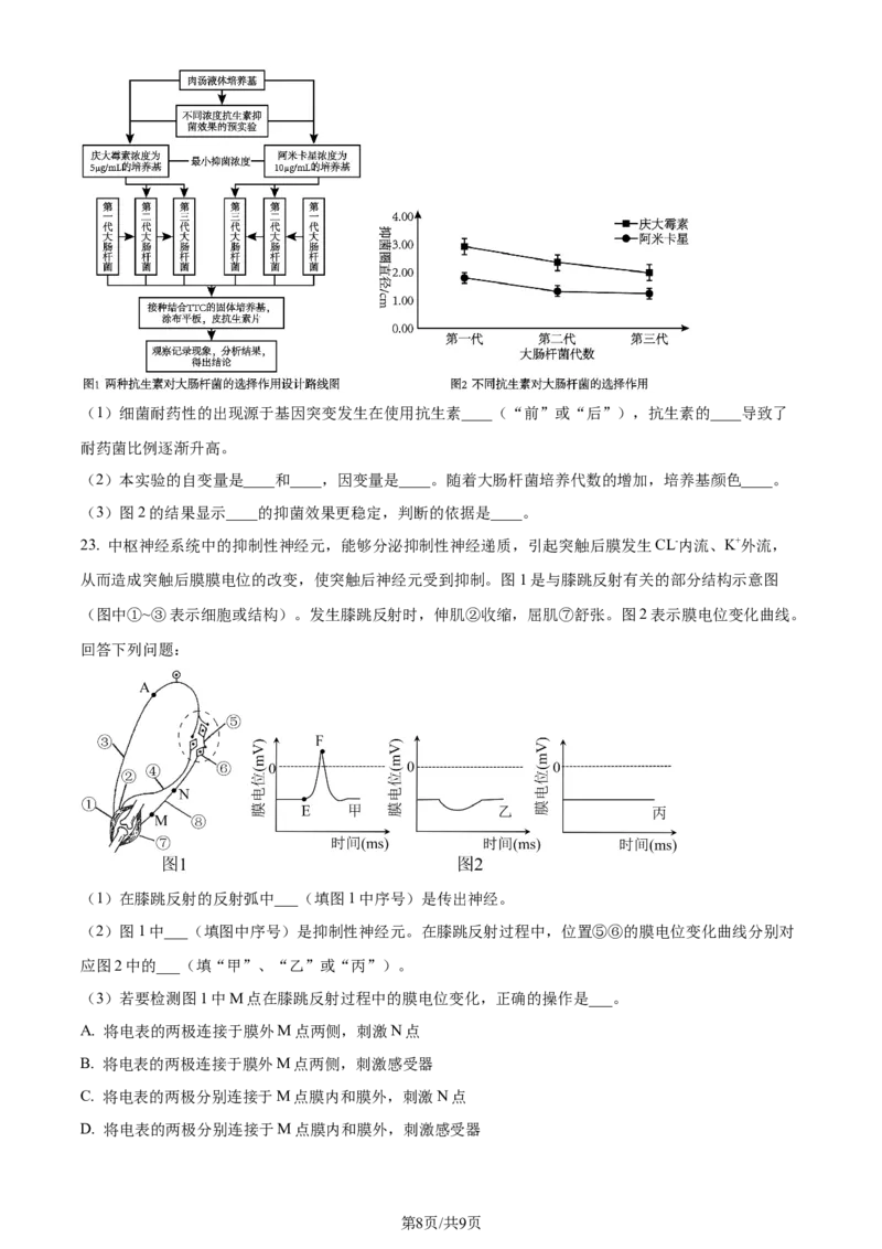 精品解析：河北省部分高中2023-2024学年高三12月期末生物试题（原卷版）_2024年1月_01每日更新_4号_2024届衡中同卷高三12月期末考_衡中同卷2024届高三12月期末考试生物